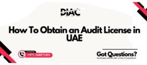 Audit License in UAE