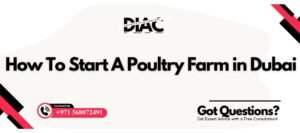 How To Start A Poultry Farm in Dubai